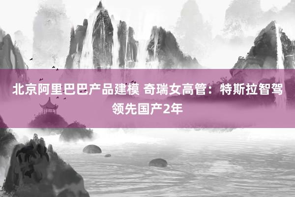 北京阿里巴巴产品建模 奇瑞女高管：特斯拉智驾领先国产2年