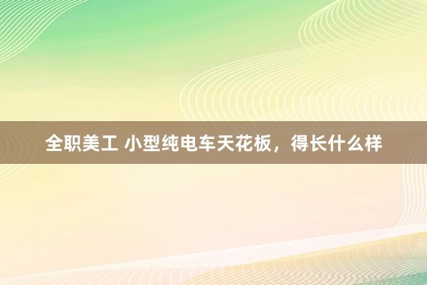 全职美工 小型纯电车天花板，得长什么样