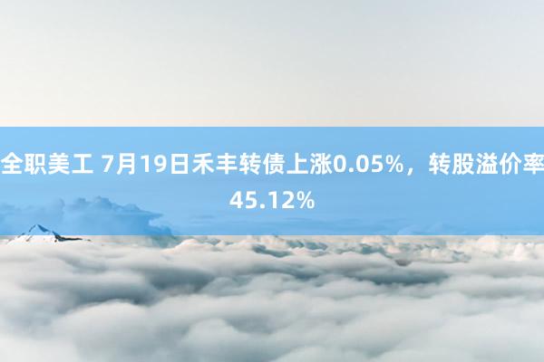 全职美工 7月19日禾丰转债上涨0.05%，转股溢价率45.12%