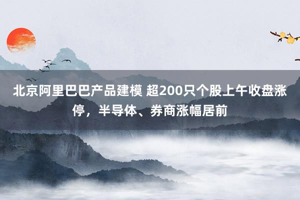 北京阿里巴巴产品建模 超200只个股上午收盘涨停，半导体、券商涨幅居前