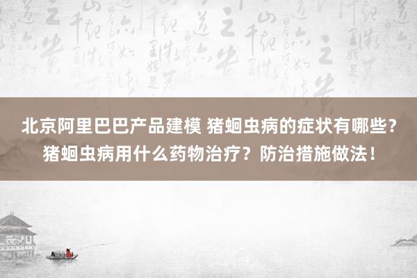 北京阿里巴巴产品建模 猪蛔虫病的症状有哪些？猪蛔虫病用什么药物治疗？防治措施做法！